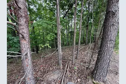 Lot 7 Stirratt Road, Ranger, GA 30734 - Photo 12