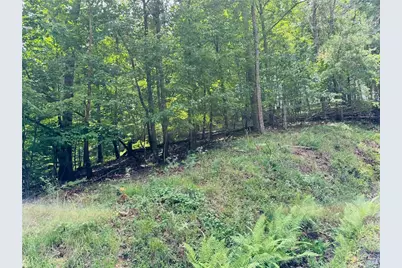 Lot 7 Stirratt Road, Ranger, GA 30734 - Photo 4