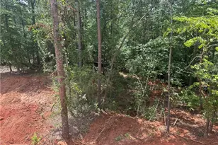 158 Blackberry Ct, Pendergrass, GA 30567 - Photo 10