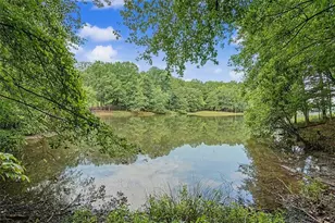 590 S Alexander Creek Rd, Newnan, GA 30263 - Photo 48