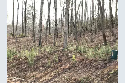 179 Trailwood Drive, Ellijay, GA 30536 - Photo 2