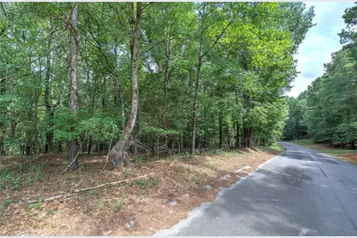 0 Weissinger Road, Kingston, GA 30145 - Photo 6
