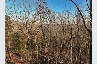 Lot 1 Mount Mincie Road, Murrayville, GA 30564 - Photo 24