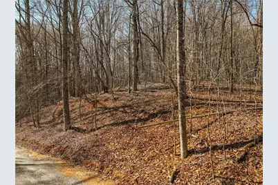 Lot 5 Mount Mincie Road, Murrayville, GA 30564 - Photo 8