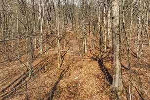 Lot 6 Mount Mincie Rd, Murrayville, GA 30564 - Photo 1