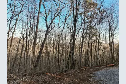 Lot 7 Mount Mincie Road, Murrayville, GA 30564 - Photo 2