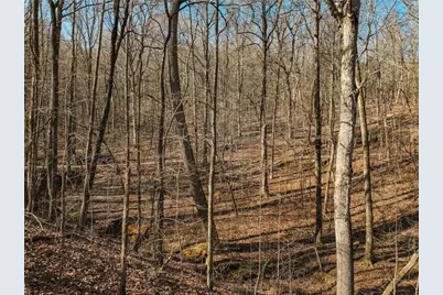 Lot 9 Mount Mincie Road, Murrayville, GA 30564 - Photo 12