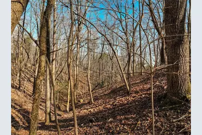 Lot 9 Mount Mincie Road, Murrayville, GA 30564 - Photo 8