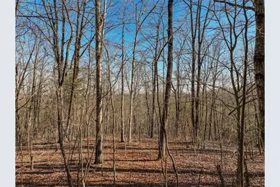 Lot 9 Mount Mincie Road, Murrayville, GA 30564 - Photo 16