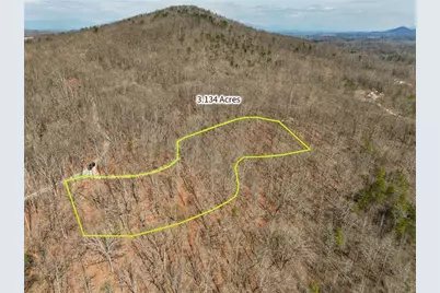 Lot 10 Mount Mincie Road, Murrayville, GA 30564 - Photo 4