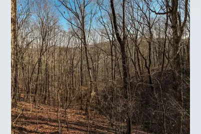 Lot 10 Mount Mincie Road, Murrayville, GA 30564 - Photo 8