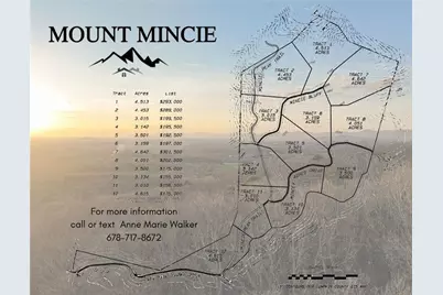 Lot 11 Mount Mincie Road, Murrayville, GA 30564 - Photo 28