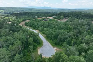 02 Blue Mountain Rd, Morganton, GA 30560 - Photo 22