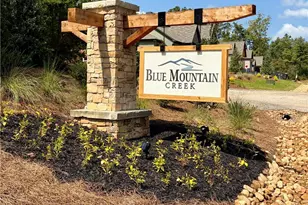 02 Blue Mountain Rd, Morganton, GA 30560 - Photo 2