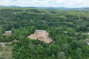 02 Blue Mountain Rd, Morganton, GA 30560 - Photo 28