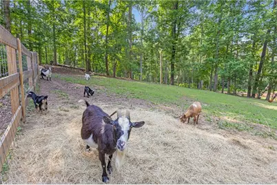 6290 Cascade Palmetto Highway, Fairburn, GA 30213 - Photo 6