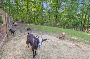 6290 Cascade Palmetto, Fairburn, GA 30213 - Photo 6