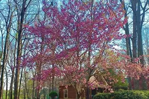 1371 Lipscomb Rd, Social Circle, GA 30025 - Photo 76