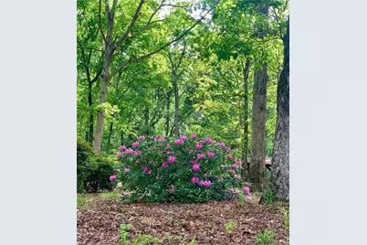 1371 Lipscomb Road, Social Circle, GA 30025 - Photo 78