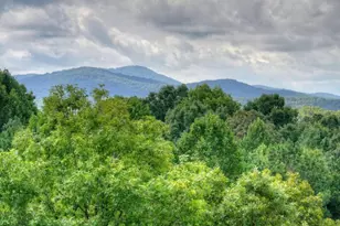 214 Ethan Wilson Way, Morganton, GA 30560 - Photo 2