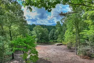 214 Ethan Wilson Way, Morganton, GA 30560 - Photo 32