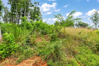 1084 Highgrove Drive, Talking Rock, GA 30175 - Photo 26