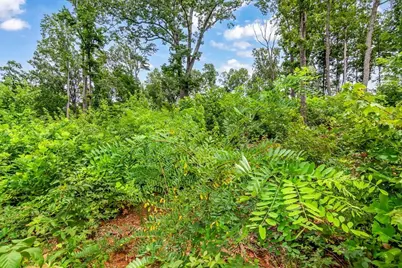 1084 Highgrove Drive, Talking Rock, GA 30175 - Photo 32