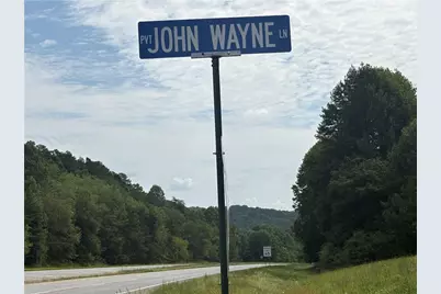 0 Fauna/John Wayne, Mineral Bluff, GA 30559 - Photo 12