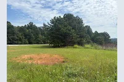 0 Fauna/John Wayne, Mineral Bluff, GA 30559 - Photo 14