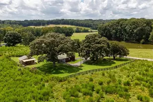 130 Sosbee Rd, Talmo, GA 30575 - Photo 24
