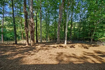 8541 Birch Hollow Drive, Roswell, GA 30076 - Photo 32