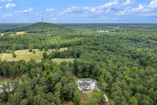 1229 Dean Hill Rd, Monroe, GA 30655 - Photo 48