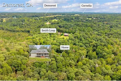 256 Cross Creek Trail, Demorest, GA 30535 - Photo 2