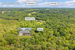 256 Cross Creek Trail, Demorest, GA 30535 - Photo 2