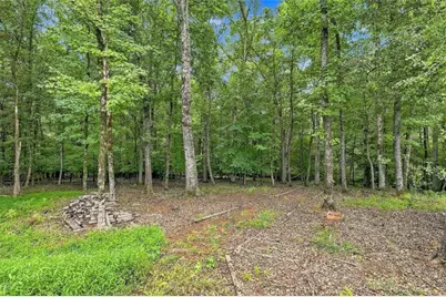 230 Windchime Way, Tyrone, GA 30290 - Photo 60