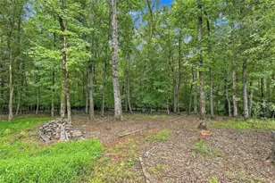 230 Windchime Wy, Tyrone, GA 30290 - Photo 60