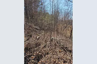 Lot26 Oak Ridge Way, Ellijay, GA 30536 - Photo 26