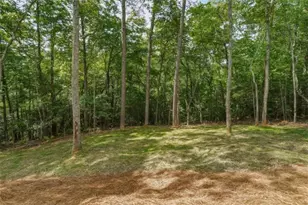 257 Gallery Ct, Ellijay, GA 30540 - Photo 46