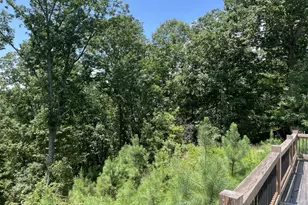 98 Adair Dr NE, Ranger, GA 30734 - Photo 12