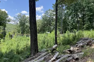 98 Adair Dr NE, Ranger, GA 30734 - Photo 10