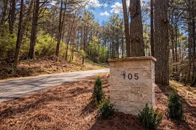 105 Riveredge Drive, Ellijay, GA 30536 - Photo 46