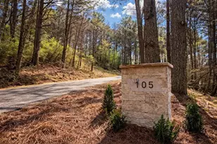 105 Riveredge Dr, Ellijay, GA 30536 - Photo 46