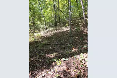 Lot 6 Heatherwood Way, Talking Rock, GA 30175 - Photo 4