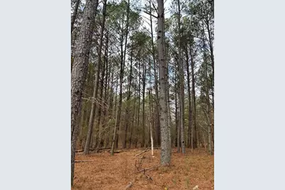 556 Benton Road, Covington, GA 30014 - Photo 2