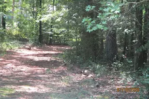 1680 Mt Carmel Rd, McDonough, GA 30253 - Photo 14