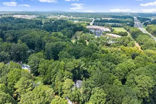 347 Shalloway Dr NE, Kennesaw, GA 30144 - Photo 58