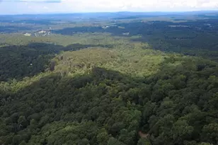 00 Firetower Rd, Jasper, GA 30143 - Photo 1