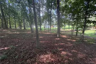 8149 Kelly Bridge Rd, Dawsonville, GA 30534 - Photo 60