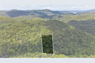 0 Elk Trl, Talking Rock, GA 30175 - Photo 2
