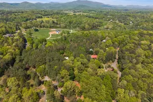 80 Stegall Mill Ridge, Ellijay, GA 30536 - Photo 48